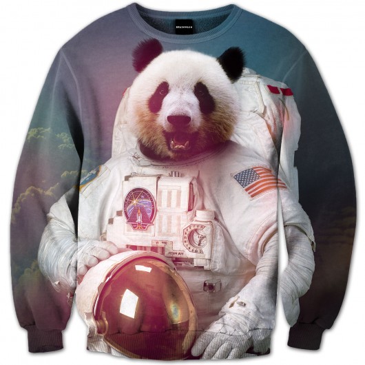 Bluza Panda Astronaut Brain Wash Clothing