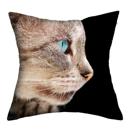 promocja! 2w1 rzymskie koty 1-36 cm AT design