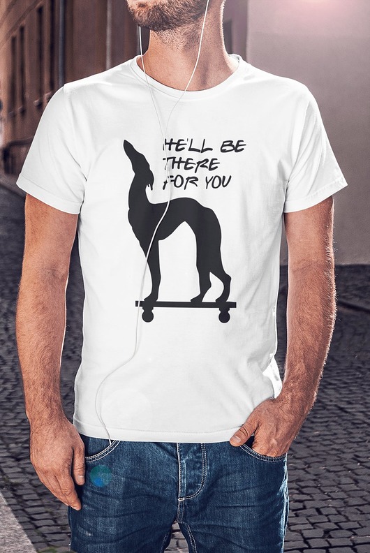 t-shirty męskie koszulka Friends