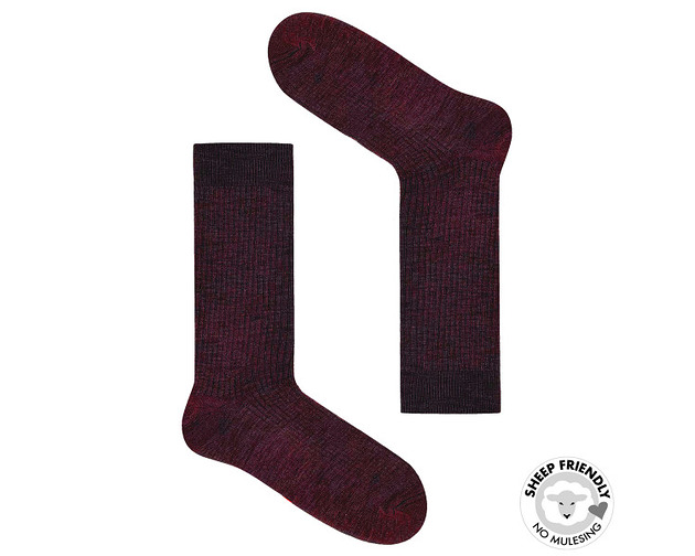 skarpetki męskie Śliwkowe skarpetki w prążki z wełny merino 36-40