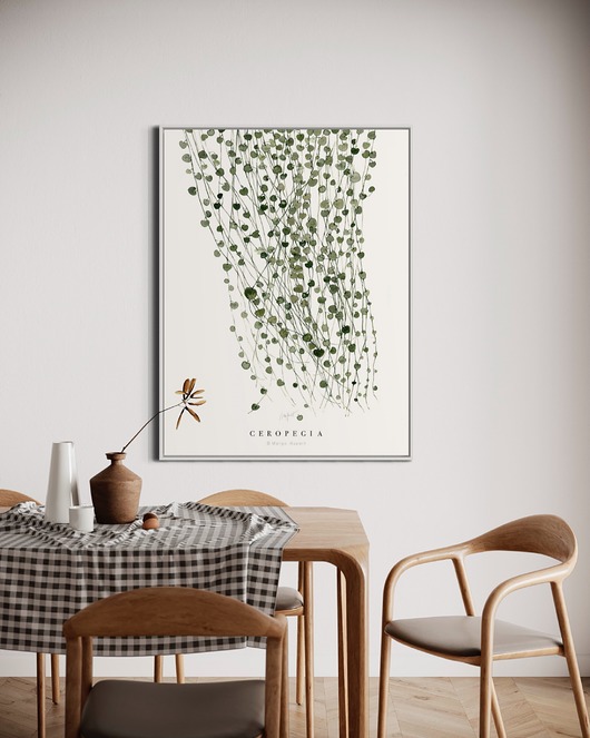 grafiki i ilustracje Ceropegia