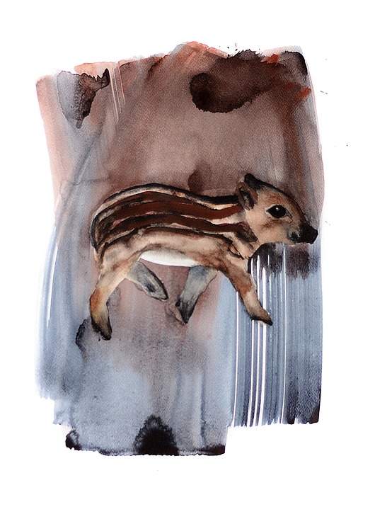 grafiki i ilustracje Warchlę