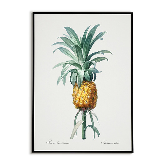 Ananas - Plakat botaniczny - Retro Bajkowe Obrazki