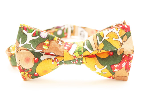 Mucha Rudolf i Renifery EDYTAKLEIST