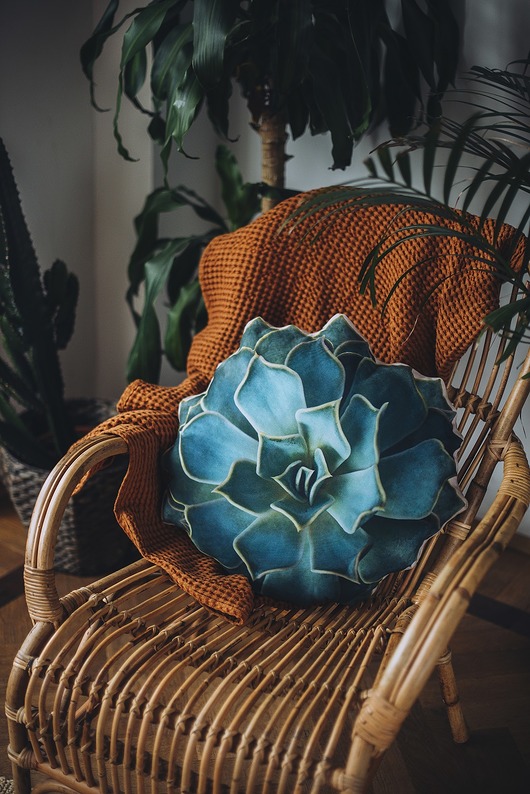 poduszki z grafiką Poduszka Aloes