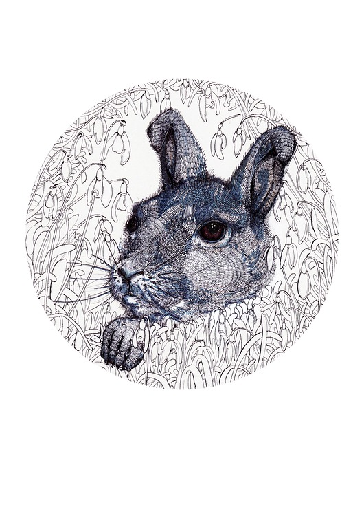 grafiki i ilustracje Królik i śnieżyczki- grafika- ilustracja- plakat