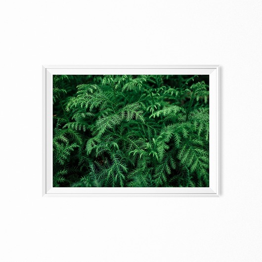 Plakat skandynawski minimalistyczny Leaves myscandi