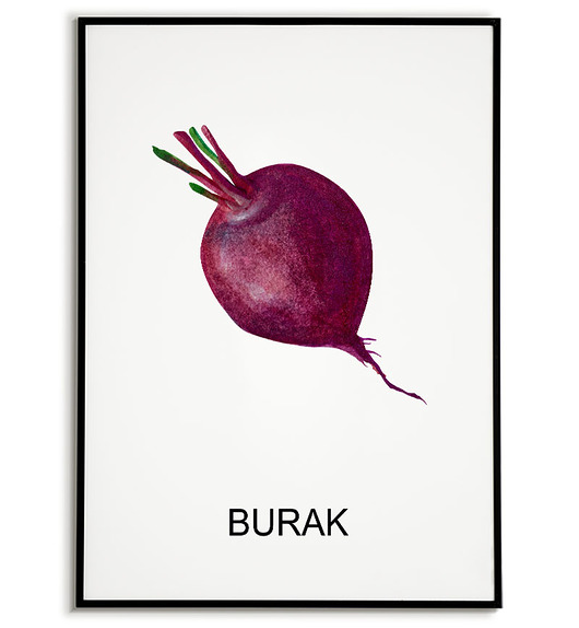 plakaty Plakat  GRAFIKA BURAK warzywa obraz ZIOŁA