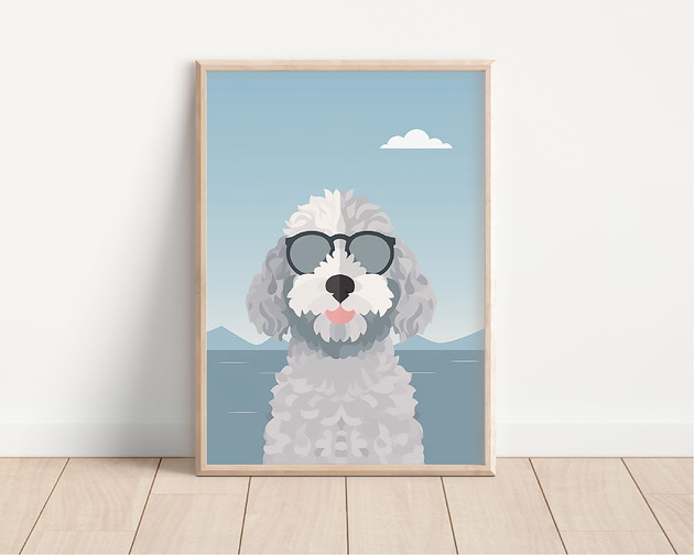 plakaty Plakat lagotto romagnolo