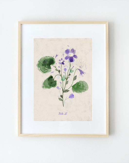 Fiołek| A4 Anita Tomala