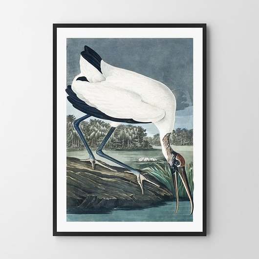 plakaty Plakat Vintage ptak 2