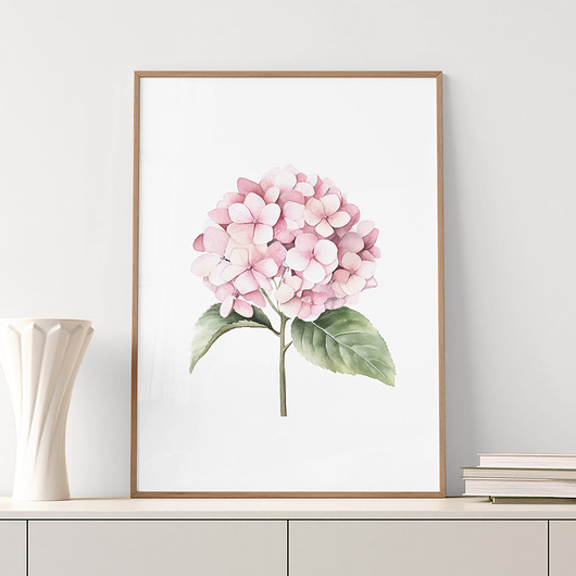 grafiki i ilustracje Różowa Hortensja 009 - akwarela botaniczna