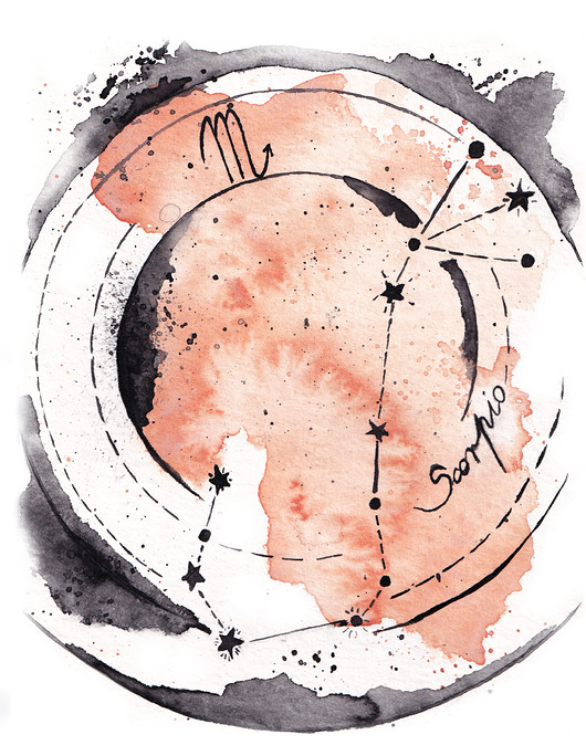 plakaty Plakat Skorpion Gwiazdozbiór Znak Zodiaku Skorpiona