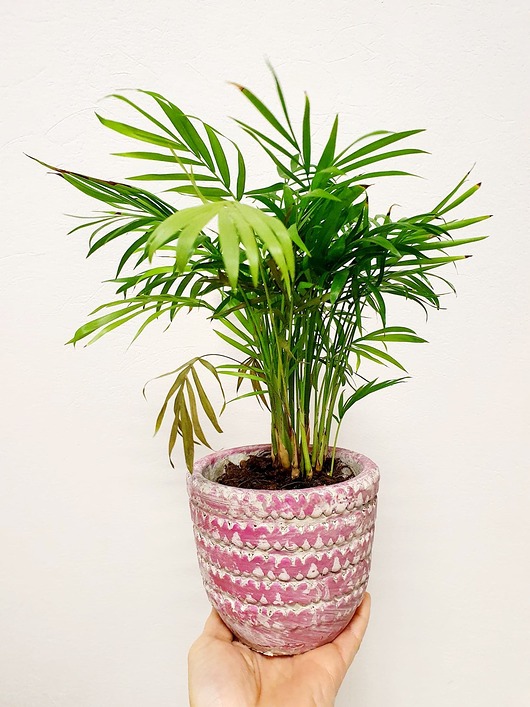 Doniczka, osłonka Rose, ceramika, 13 cm Home Design