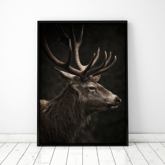 Plakat Jeleń 5 COLORMINT