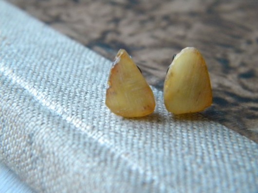raw amber  - 1 Beata Trotter