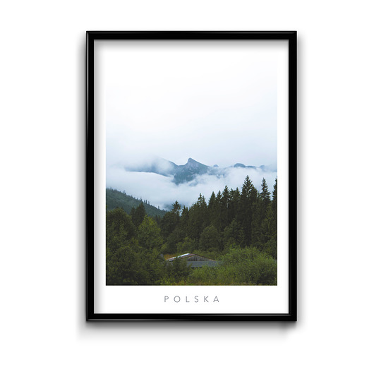 Plakat Polska 11  Bury Lis