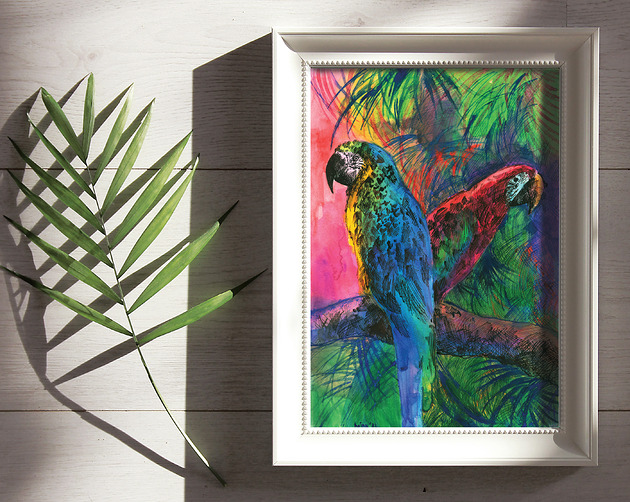 plakaty Plakat - papugi ary