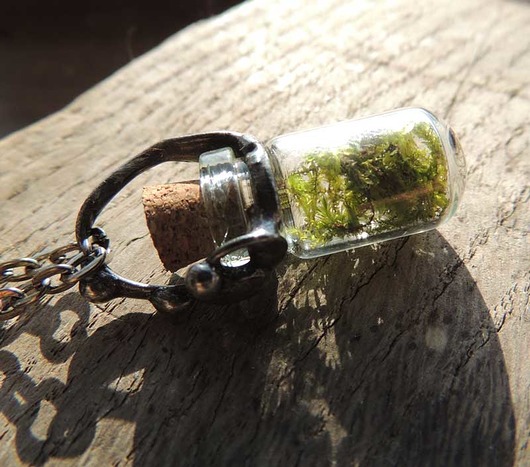 moss... mini MARIAELA