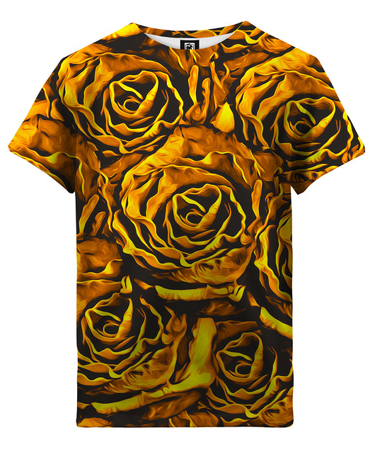 t-shirty dla dziewczynki T-shirt Girl DR.CROW Gold Roses
