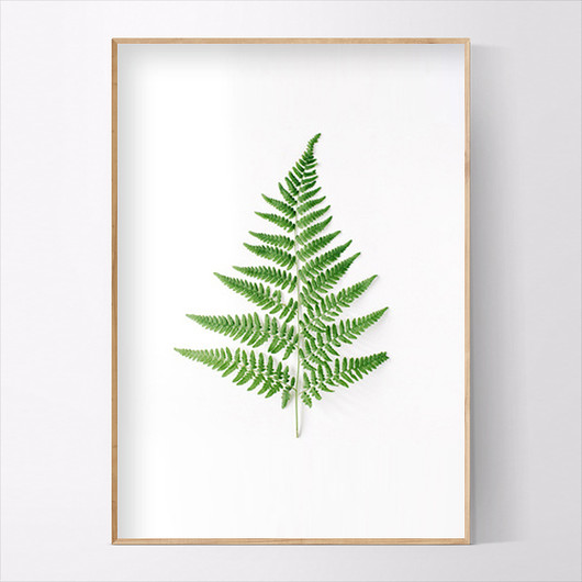 Plakat SINGLE LEAF  50x70 CM MUKKO