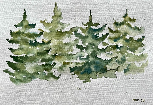 obrazy Choinki a4 - akwarela