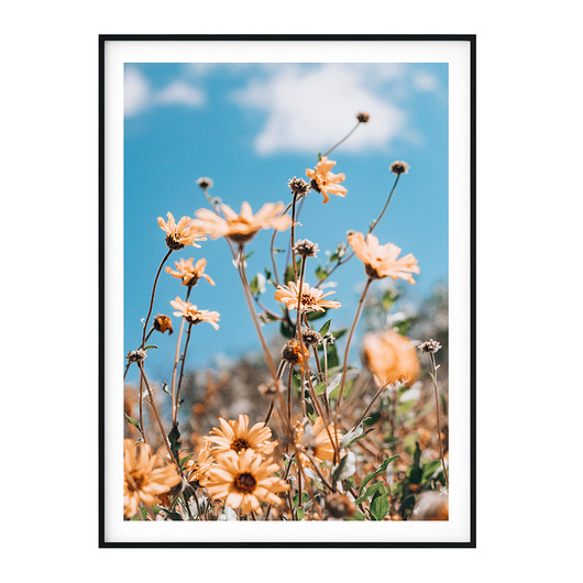 Plakat skandynawski Flowers myscandi