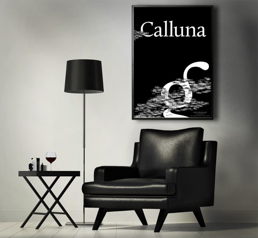 TYPOGRAFIA. Plakat czcionka Calluna typohole