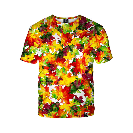 t-shirty męskie Męski T-shirt Autumn Leaves