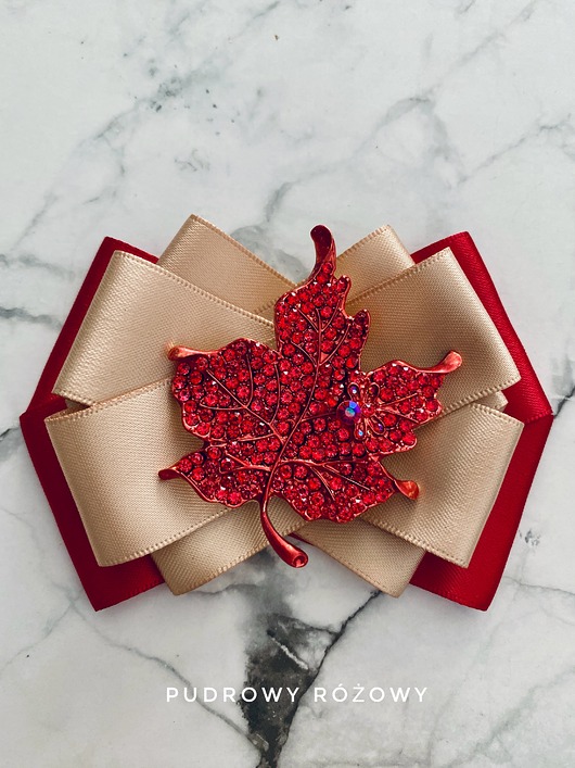 broszki Brosza z unikatowym liściem z czerwonych kryształków Liść