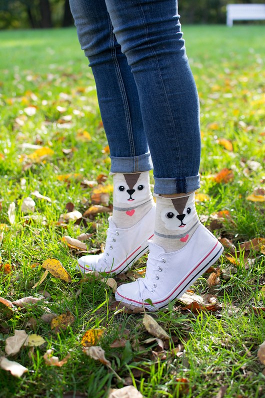 Skarpetki z beżowym pieskiem CandySox