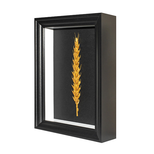 obrazy Obraz 3D żywy KŁOS PSZENICY w ramce wisząco-stojącej 17 x 21 cm