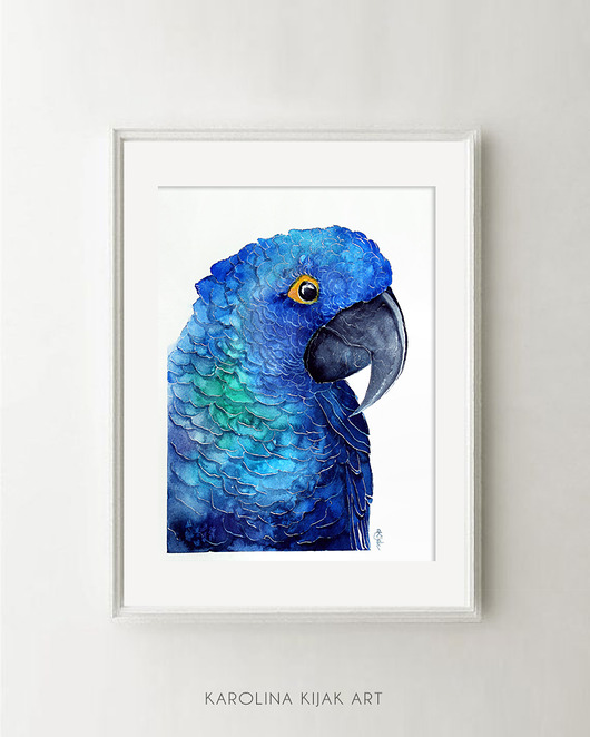 Papuga Blue - plakat autorski Karolina Kijak
