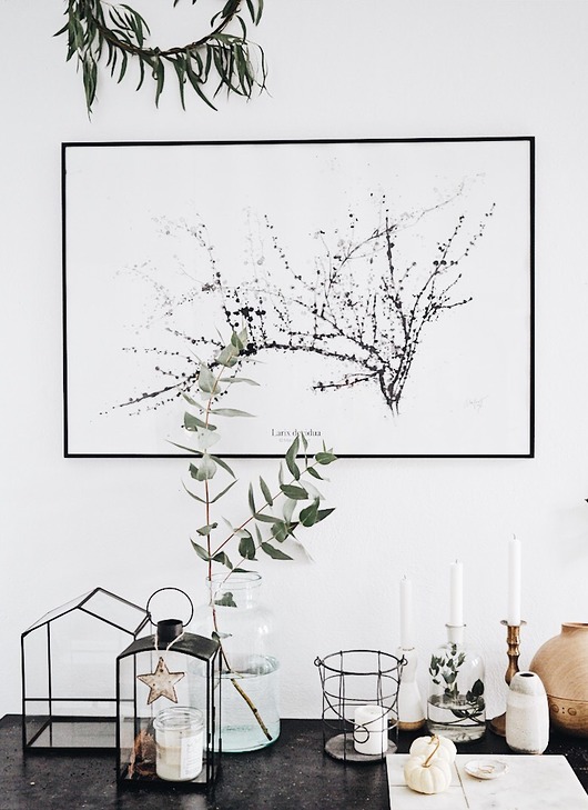 plakaty Modrzew, print 50x70 cm