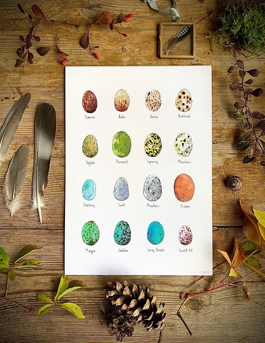 grafiki i ilustracje Jajka - grafika- ilustracja- plakat- eggs