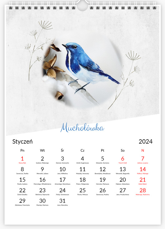 obrazy Kalendarz z ptakami 2024