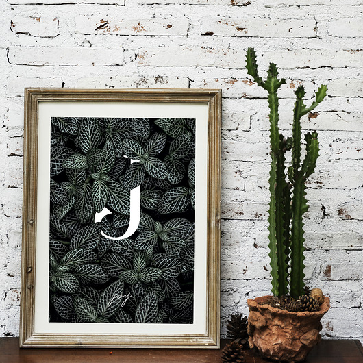 Plakat JOY muybien