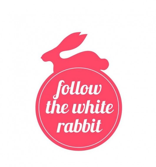 zamówienie specjalne: t-shirt z jelonkiem FOLLOW THE WHITE RABBIT