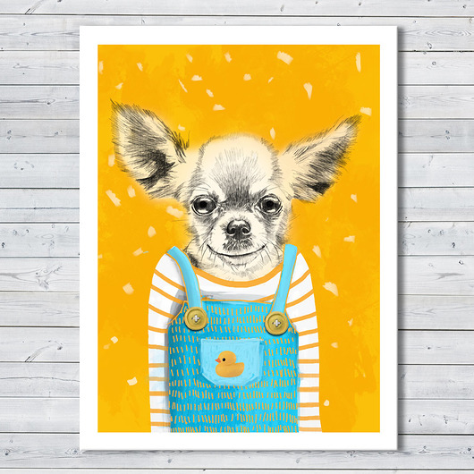 obrazy OBRAZ NA PŁÓTNIE - 60x80 PIES Chihuahua