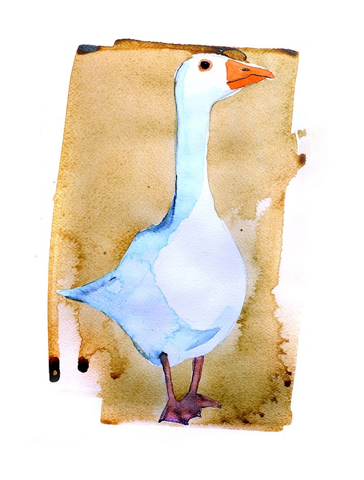 grafiki i ilustracje Plakat Gąsiorek