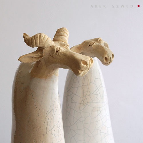 owce 2.112-12 Arek Szwed