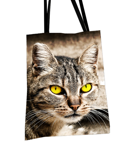 promocja! Kocie spojrzenie w sepii - torba AT design
