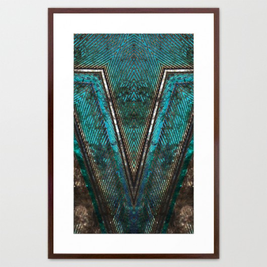 plakat 100x70 PEACOCK FEATHERS 1 ED design for fun