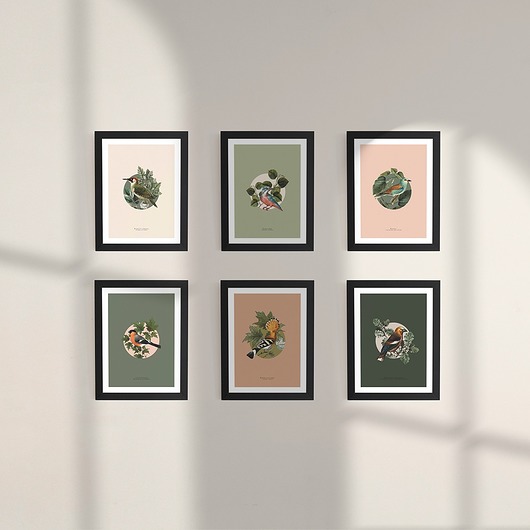 grafiki i ilustracje Ptaki Polski - zestaw 6 grafik