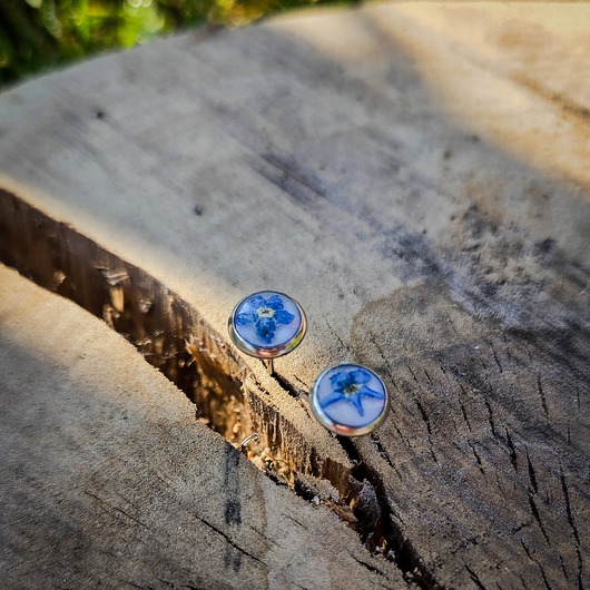 kolczyki z żywicy Kolczyki z niezapominajkami