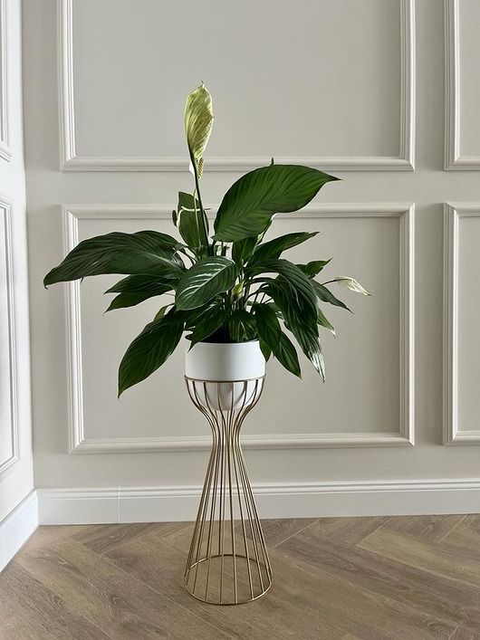 kwietniki Kwietnik metalowy stojący LOFT Design - GOLD 56cm