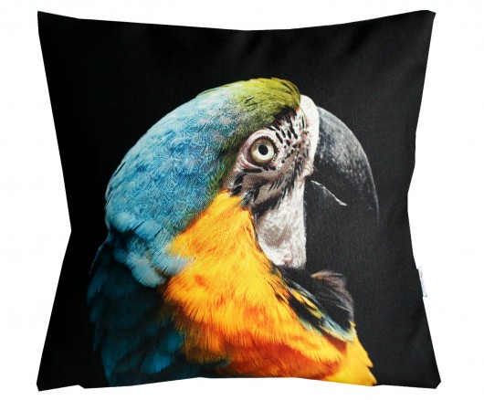 Egzotyczne spojrzenie i kaktus 45cm AT design