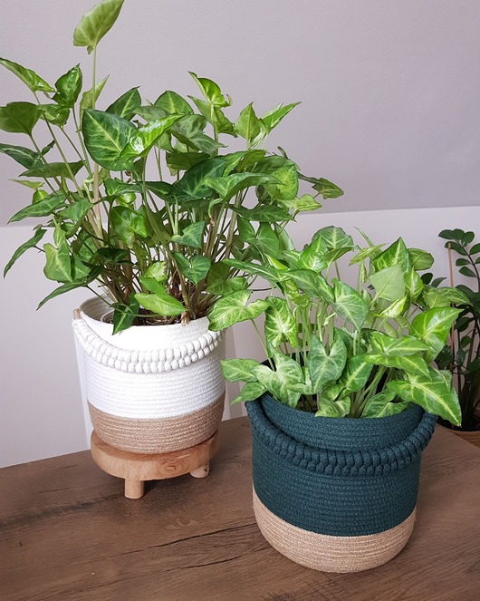 kosze do przechowywania Koszyk osłonka z warkoczem Boho