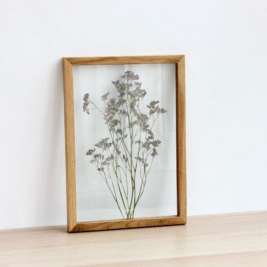 dodatki - różne Limonium M