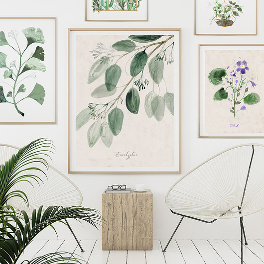 Plakat Eukaliptus | 50x70 cm Anita Tomala